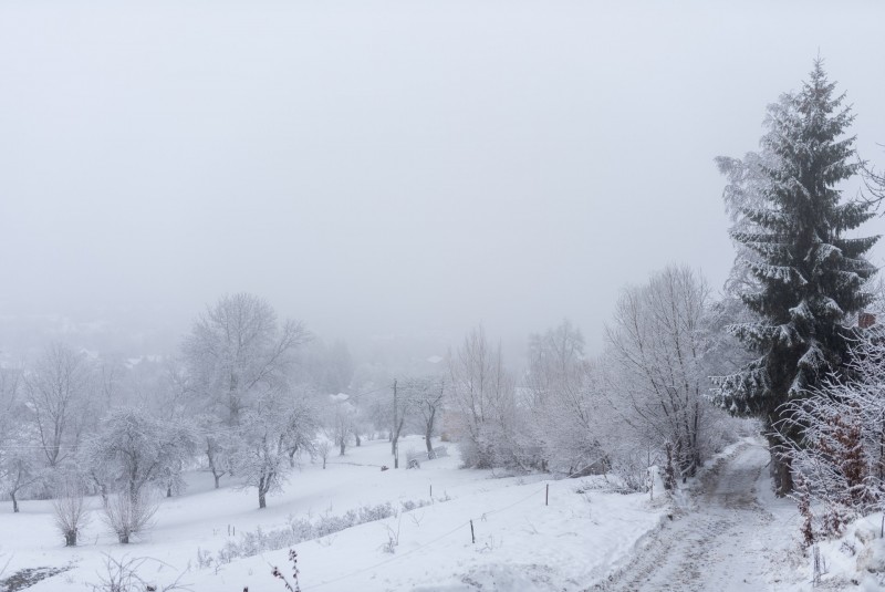 Panoramic View Bran Apartament Bran 710772 thumb