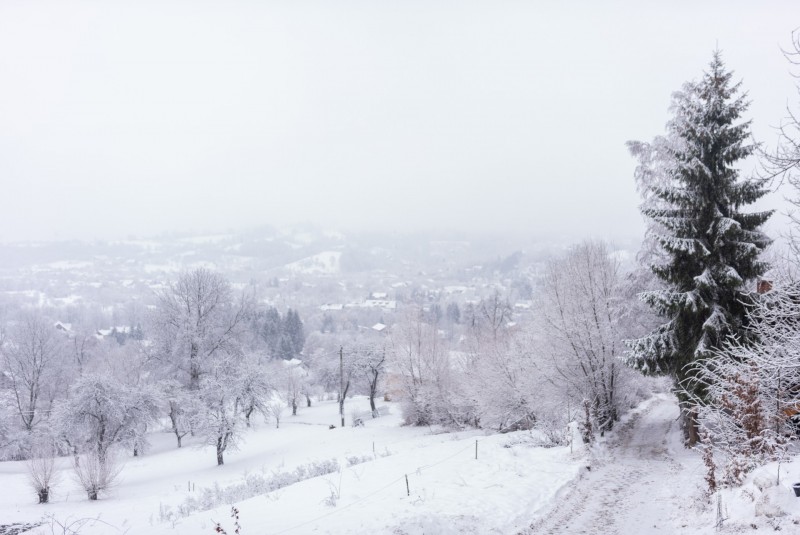 Panoramic View Bran Apartament Bran 710779 thumb