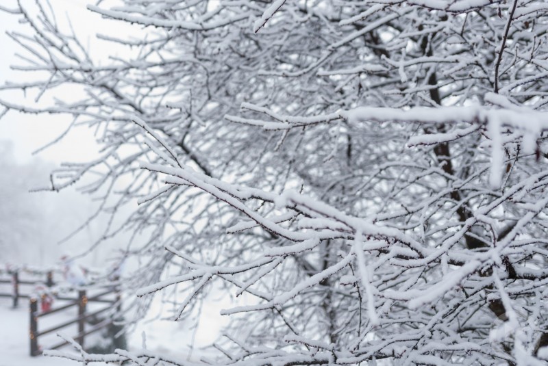 Panoramic View Bran Apartament Bran 710770 thumb