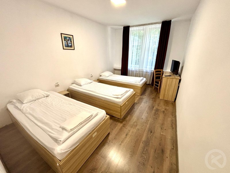 Castle Garden Hostel Arcuș 712168 thumb