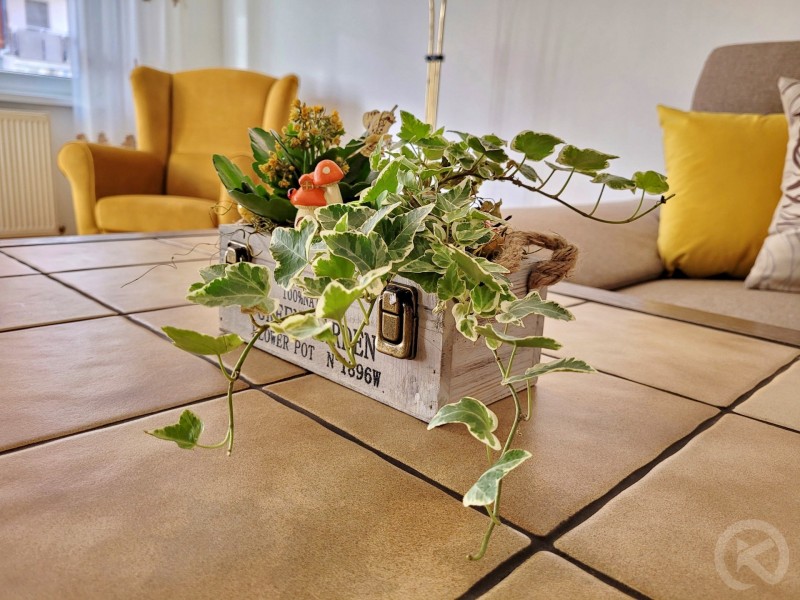 Flora Apartment Odorheiu Secuiesc 695826 thumb