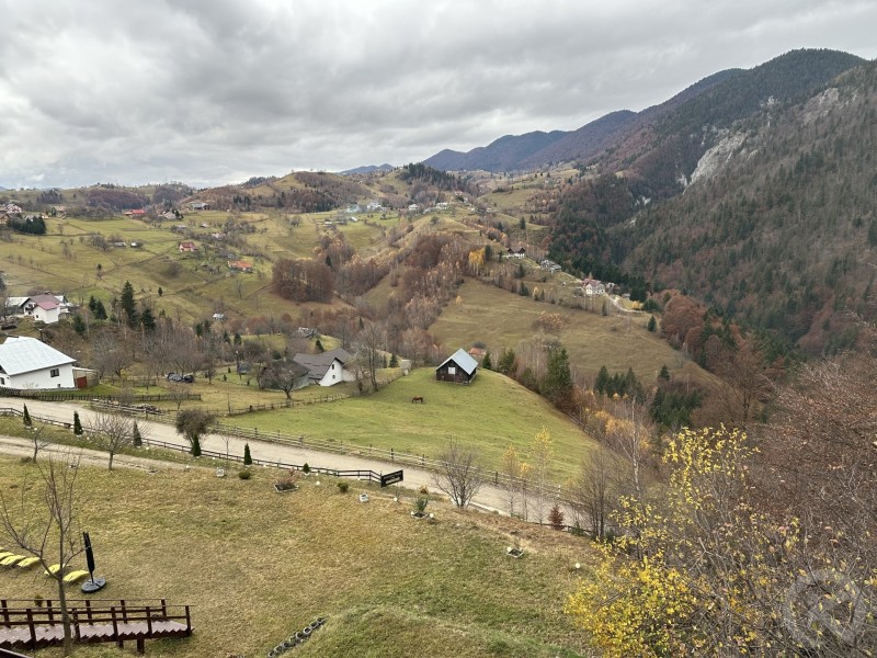 Magura Guesthouse Măgura 709128 thumb