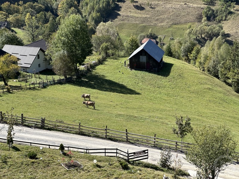 Magura Guesthouse Măgura 709096 thumb
