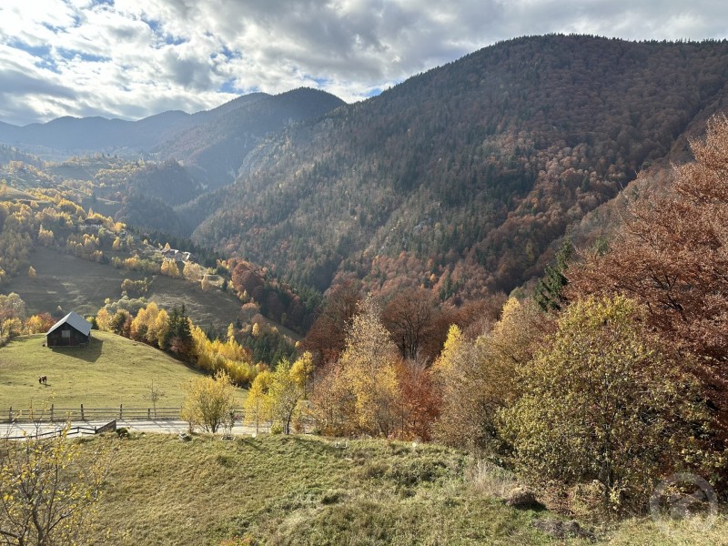 Magura Guesthouse Măgura 709123 thumb