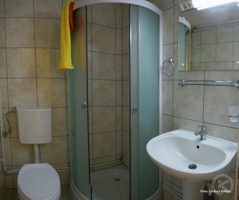 Hostelul Doua Salcii Aiud 702175 thumb