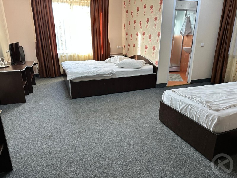 Pensiunea La Vasile Zalău 684701 thumb