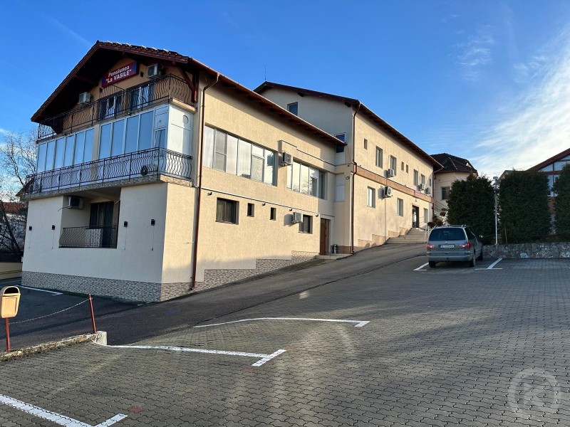 Pensiunea La Vasile Zalău 684691 thumb