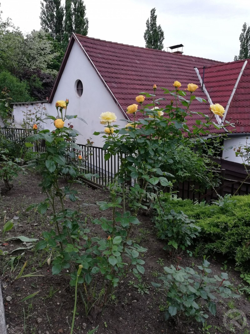Barbara Apartman Miskolc 669683 thumb
