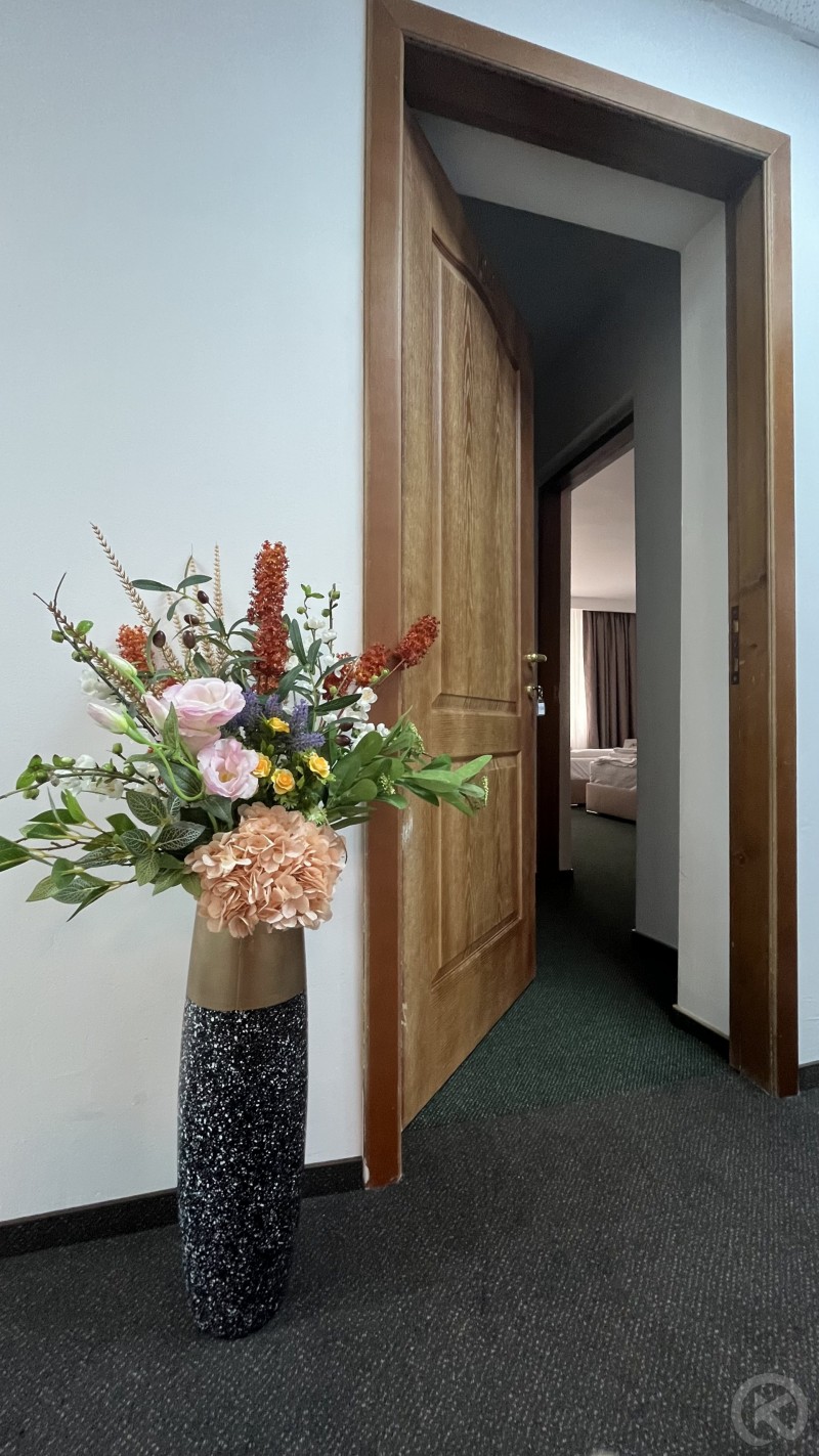 Europa Hotel Ocna Mureș 704532 thumb