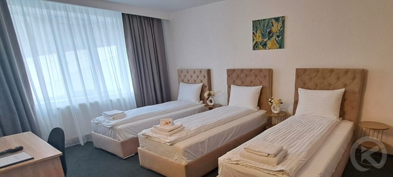Europa Hotel Ocna Mureș 704711 thumb