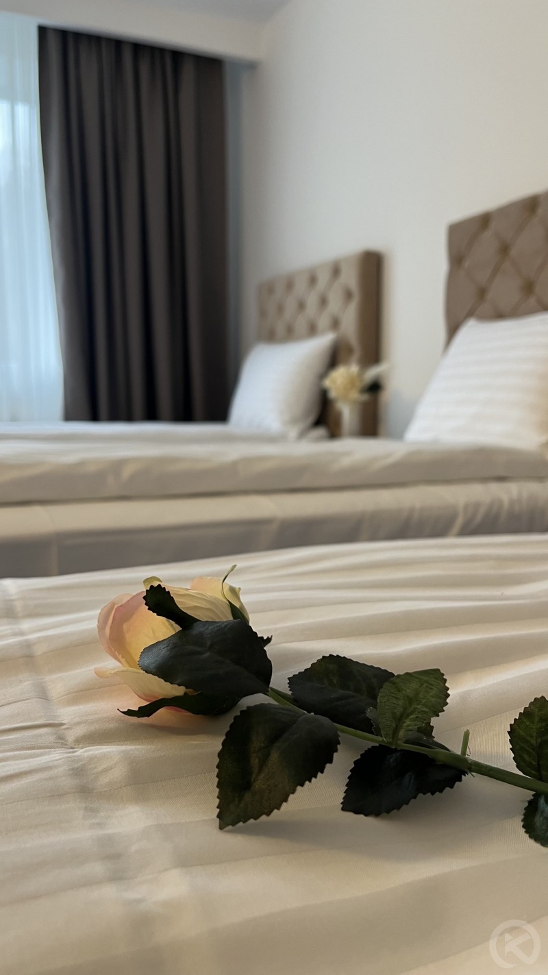 Europa Hotel Ocna Mureș 704661 thumb