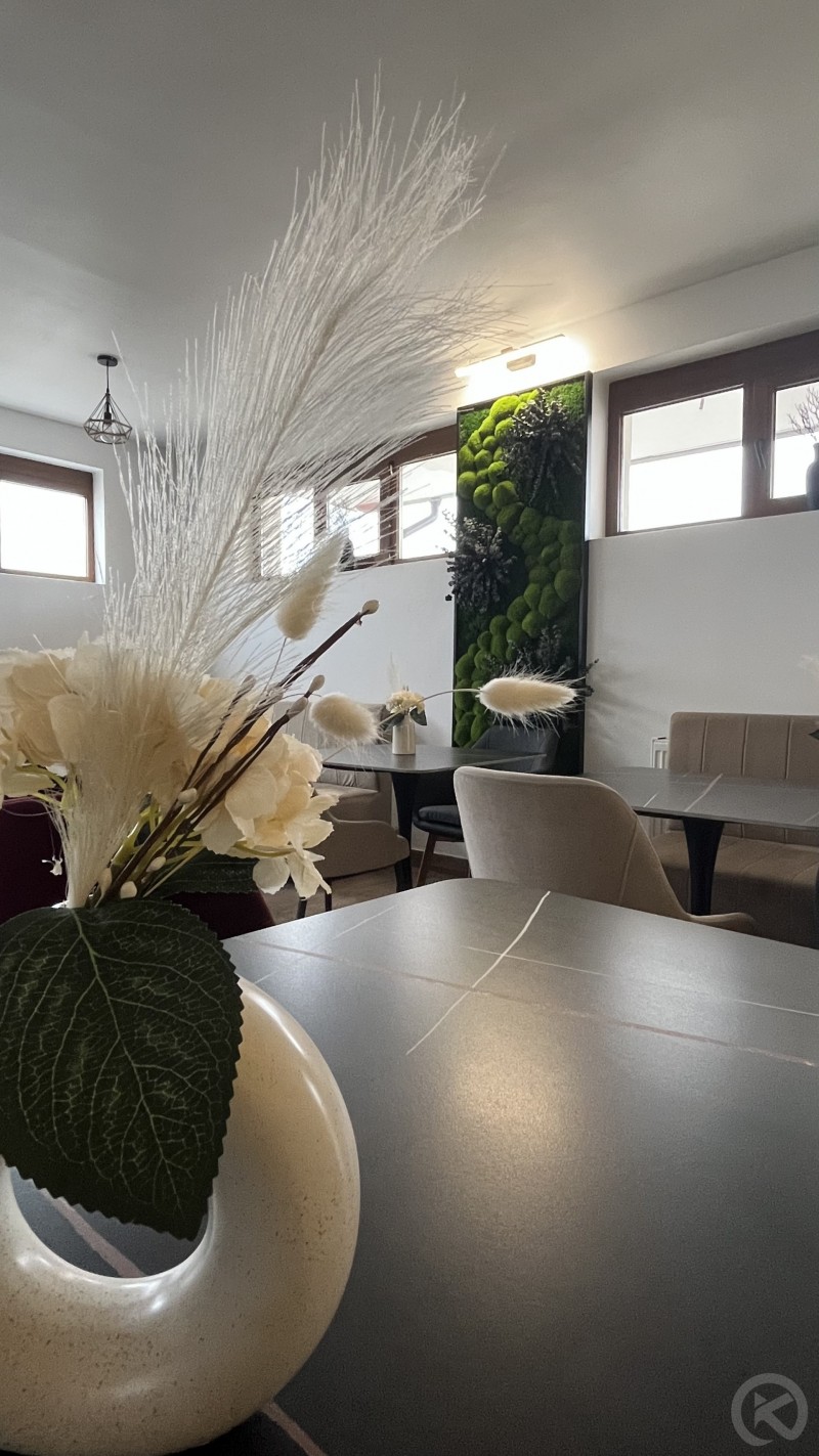 Europa Hotel Ocna Mureș 704731 thumb