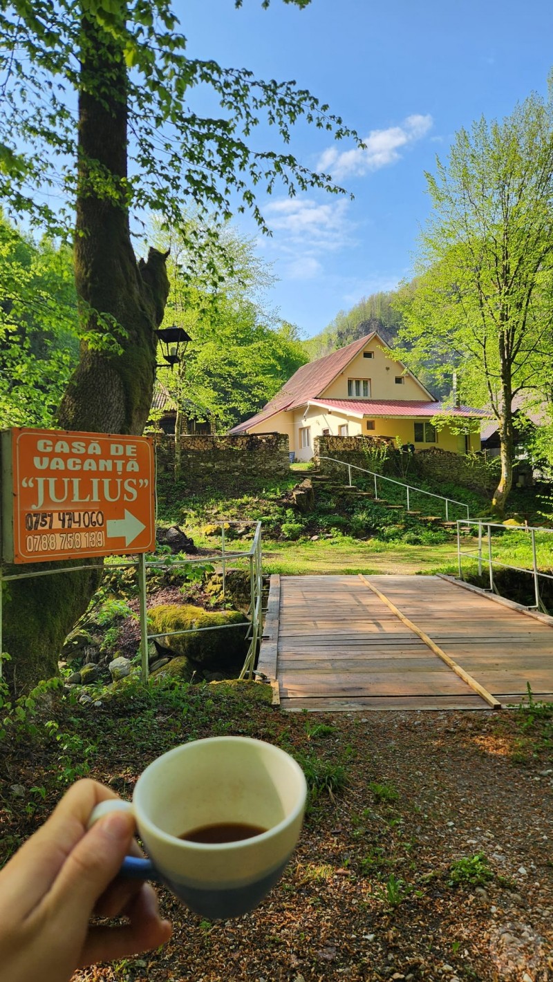 Julius Holiday Chalet Valea Boga 703138 thumb