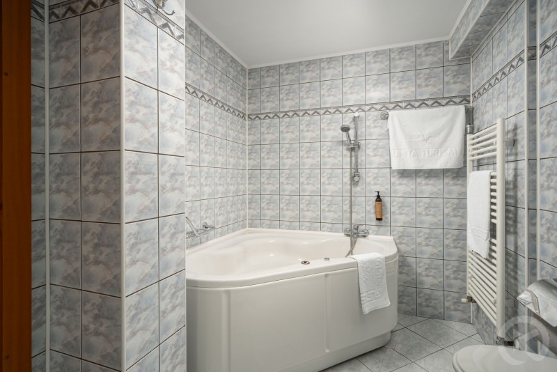 HOTEL MOLDOVA Iași 712794 thumb