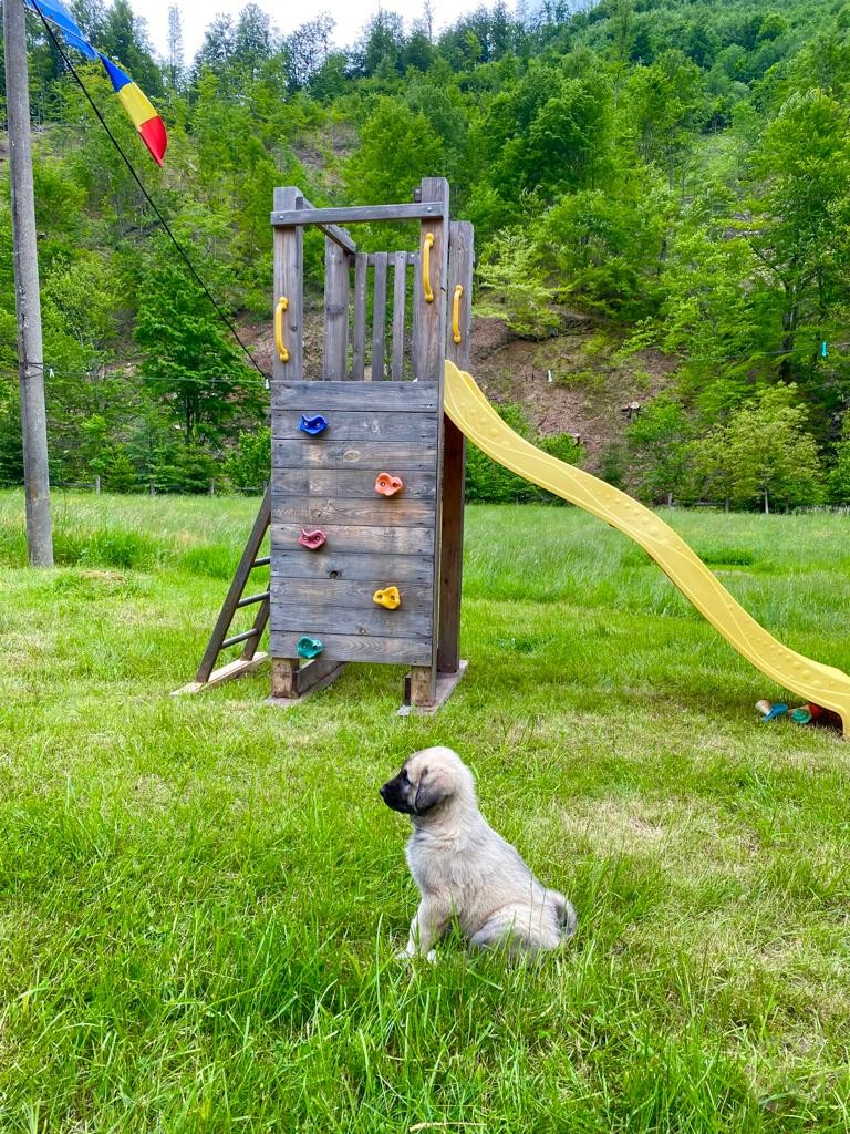 Mădălin Holiday Chalet Pietroasa 683857 thumb