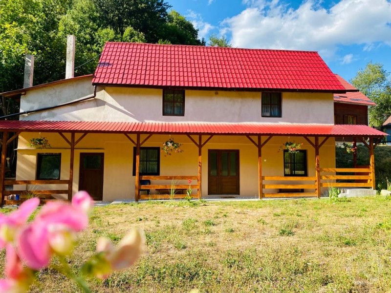 Mădălin Holiday Chalet Pietroasa 683863 thumb