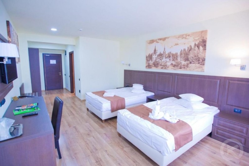 HOTEL PIEMONTE  Predeal 719915 thumb