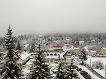HOTEL PIEMONTE  Predeal 721351 thumb