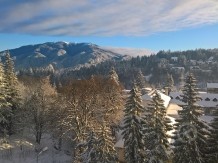 HOTEL PIEMONTE  Predeal 721356 thumb