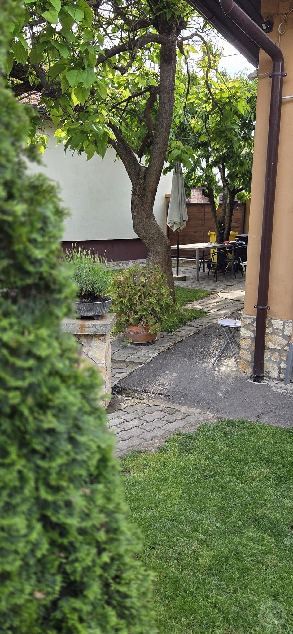 Apartament Leila Jula 703024 thumb