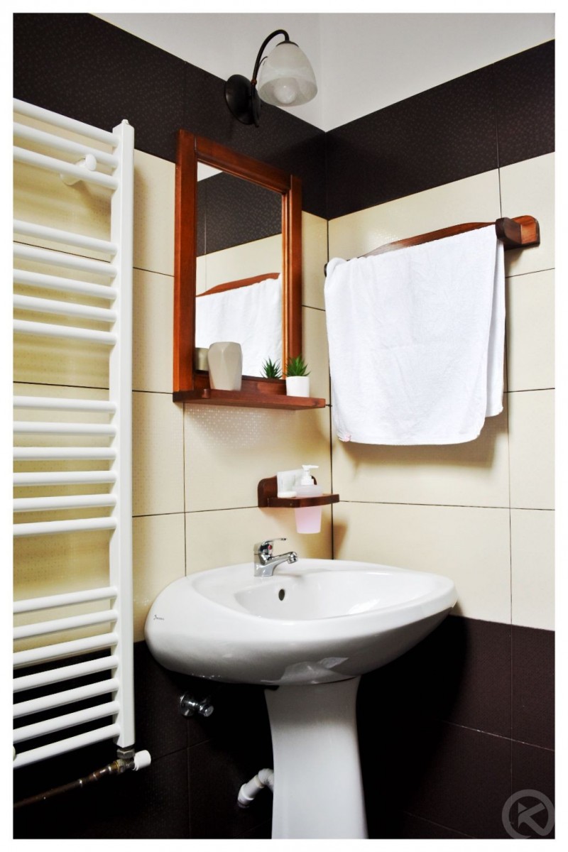 PENSIUNEA POIENȚIA Albac 713038 thumb