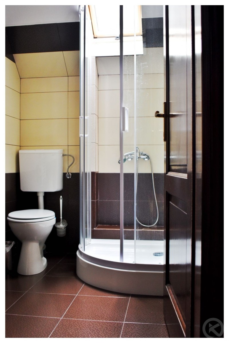 PENSIUNEA POIENȚIA Albac 713042 thumb