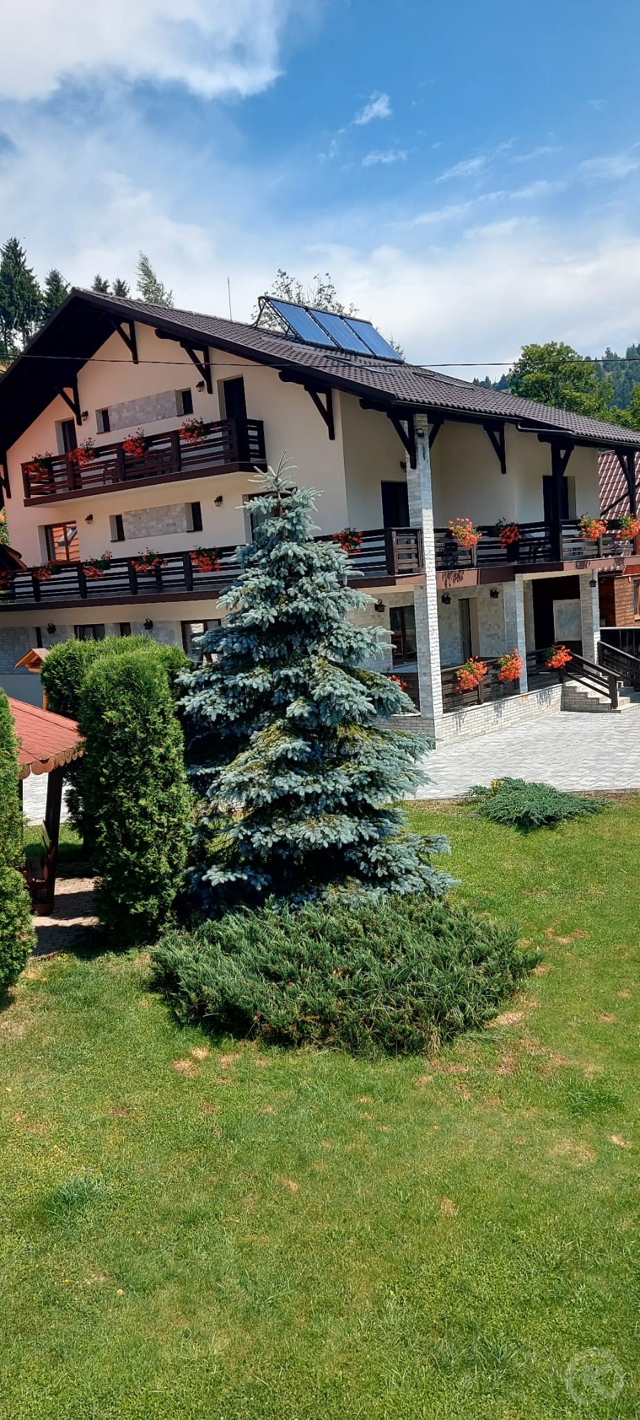 PENSIUNEA POIENȚIA Albac 713145 thumb