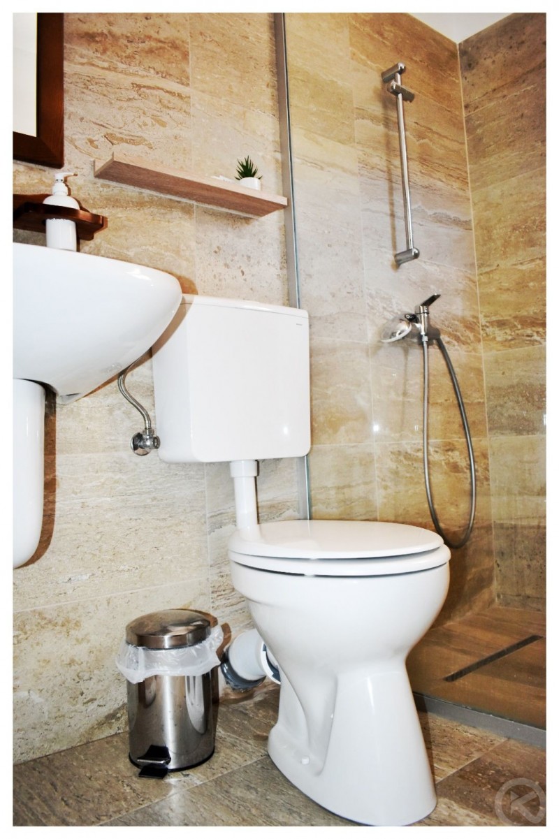 PENSIUNEA POIENȚIA Albac 713035 thumb