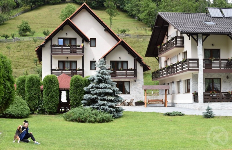 PENSIUNEA POIENȚIA Albac 713150 thumb