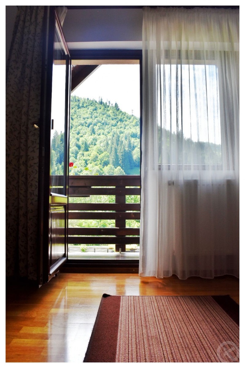 PENSIUNEA POIENȚIA Albac 713043 thumb