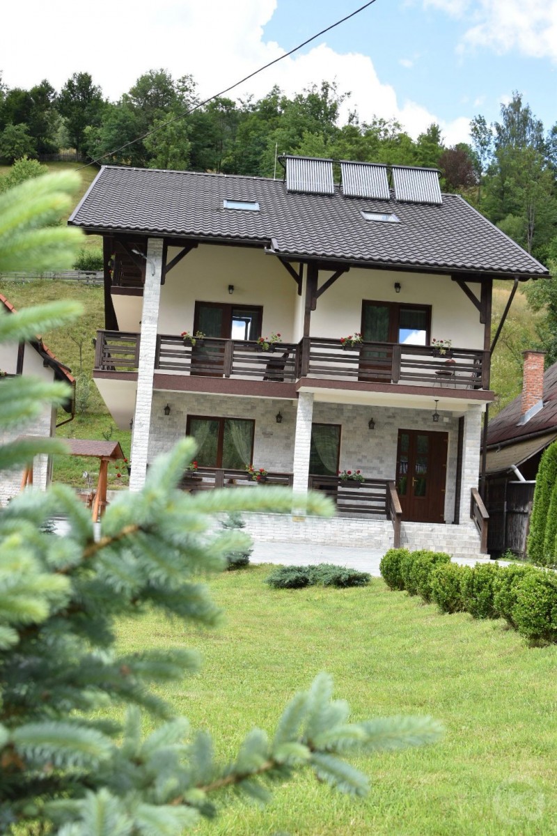 PENSIUNEA POIENȚIA Albac 713155 thumb