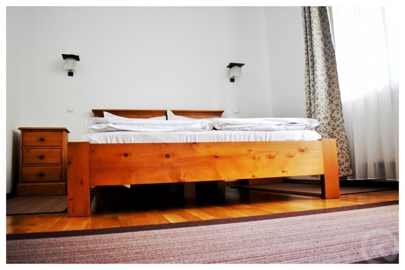 PENSIUNEA POIENȚIA Albac 713041 thumb