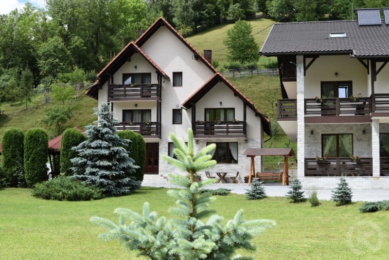 PENSIUNEA POIENȚIA Albac 713148 thumb