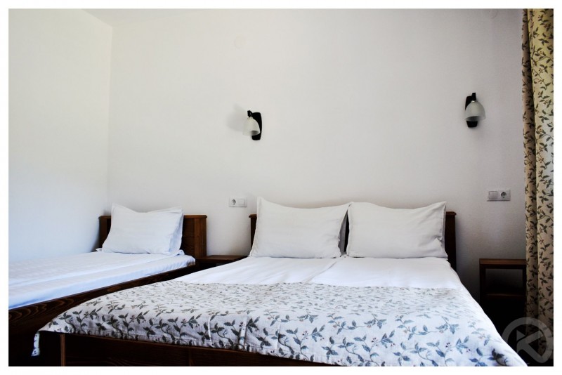 PENSIUNEA POIENȚIA Albac 713121 thumb