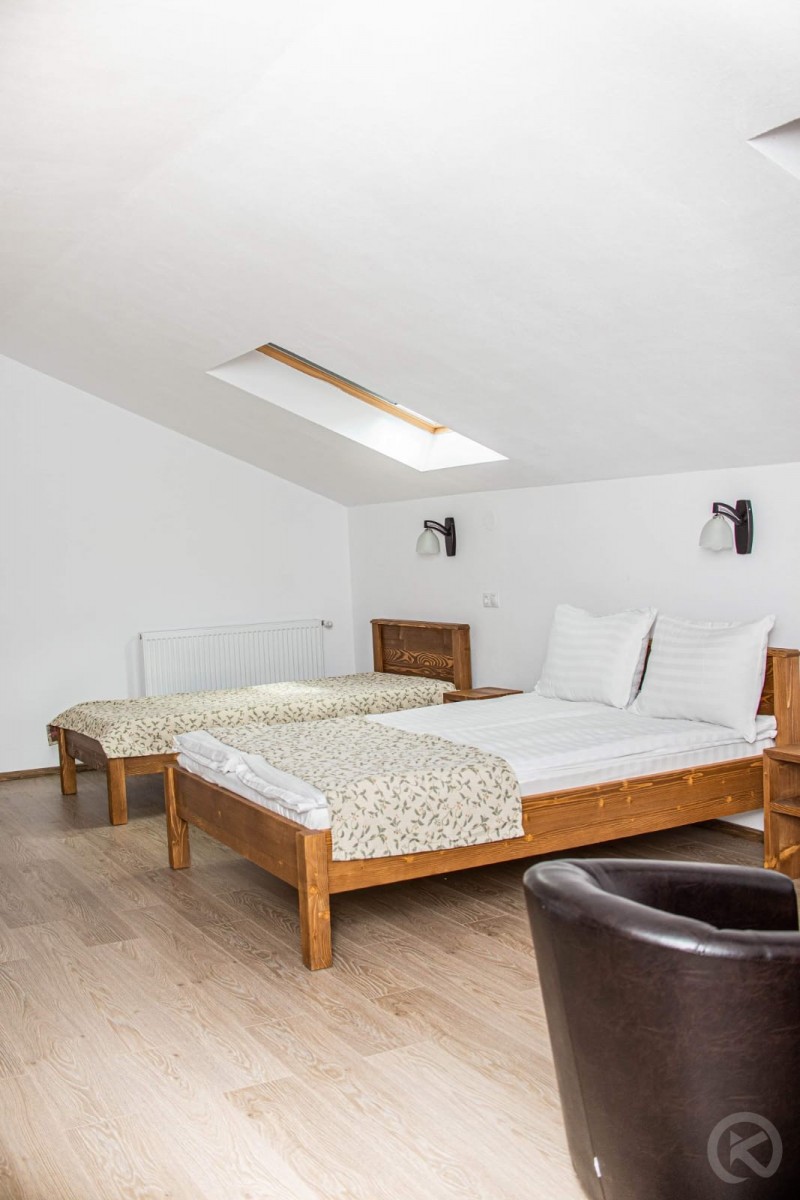 PENSIUNEA POIENȚIA Albac 713125 thumb