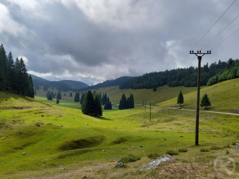 Zona turistică Padiș 118 thumb