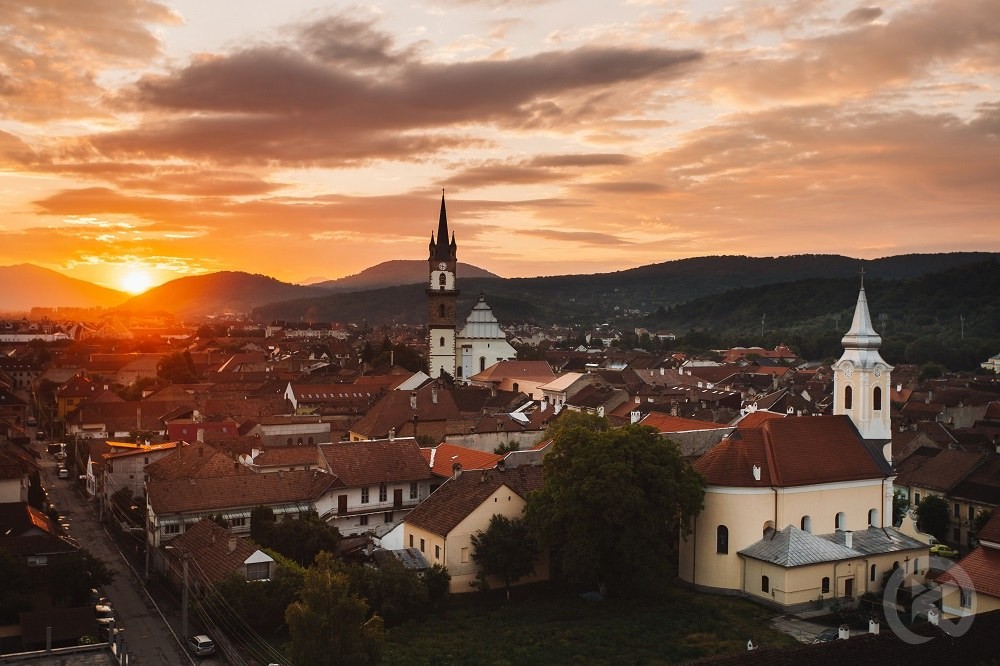 Colibița 1351 thumb