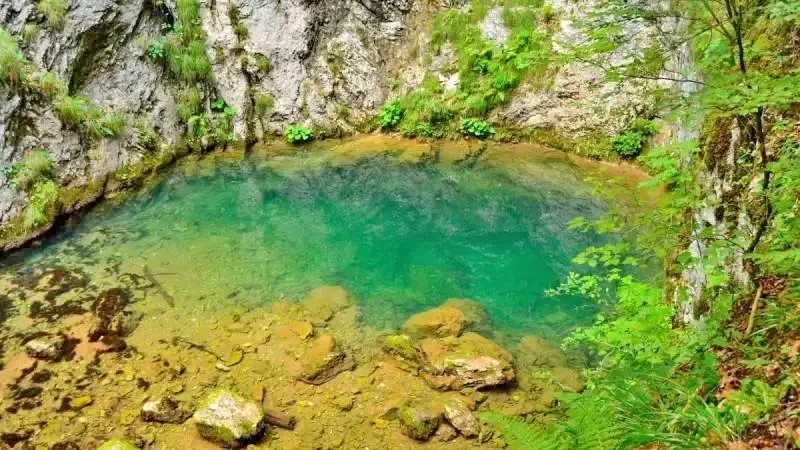 Gârda de Sus 1469 thumb