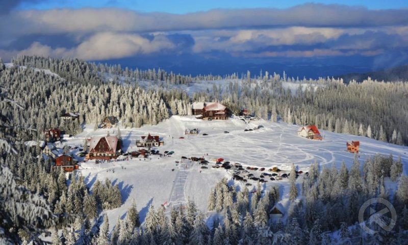 Căpâlnița 1022 thumb