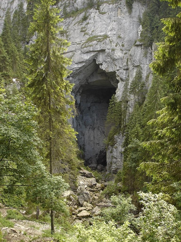 Valea Boga 753 thumb