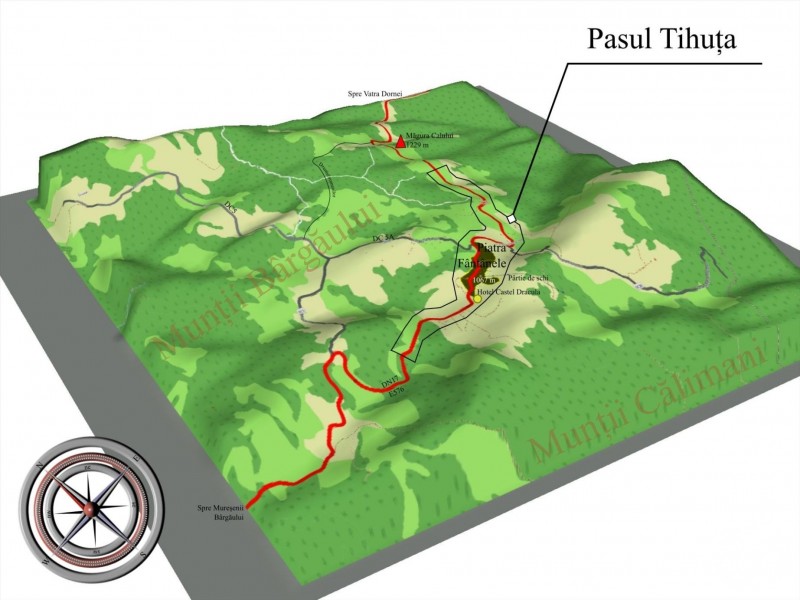 Colibița 1354 thumb