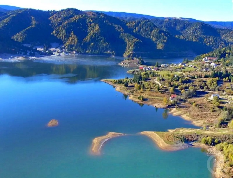 Colibița 1357 thumb