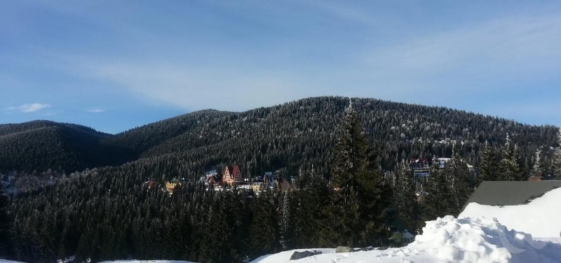 Arieșeni 1185 thumb