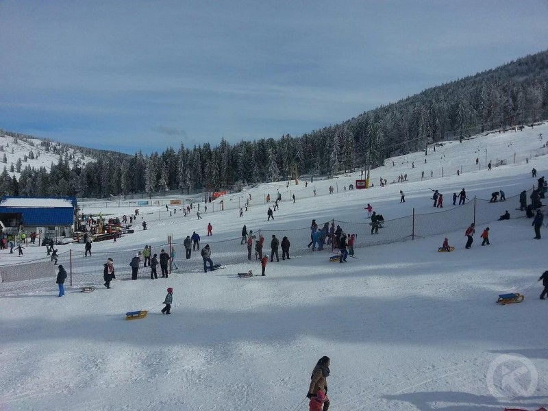 Arieșeni 1176 thumb