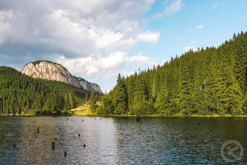 Izvoru Mureșului 821 thumb