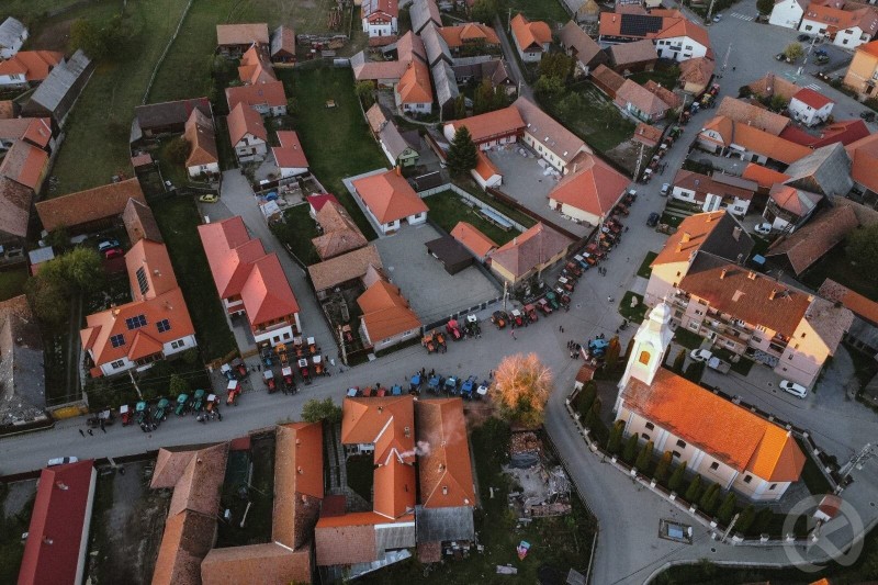 Căpâlnița 1014 thumb