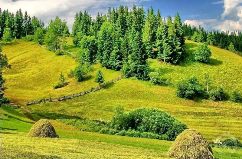 Lunca de Jos 1384 thumb