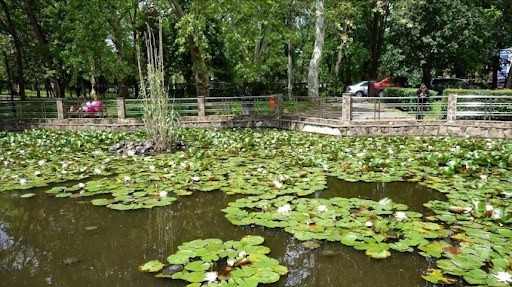 Sânmartin 413 thumb