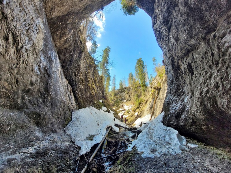 Stâna de Vale 1331 thumb