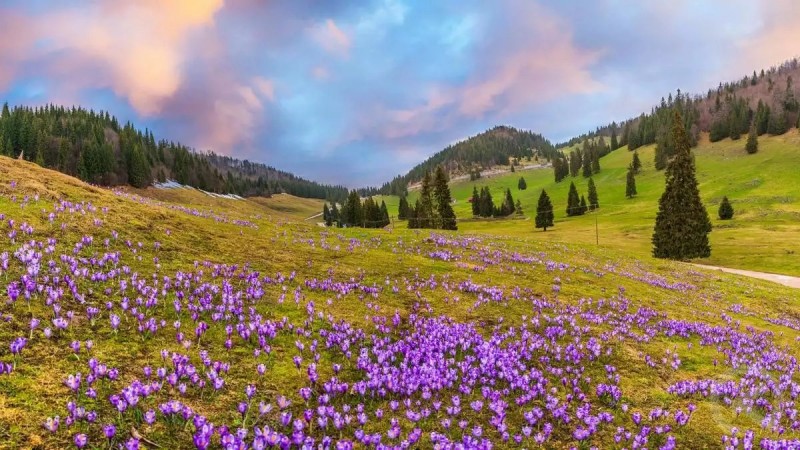 Gârda de Sus 1475 thumb